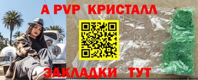 тгк Новозыбков