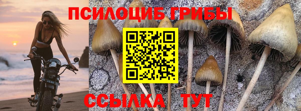 Псилоцибиновые грибы MAGIC MUSHROOMS Топки