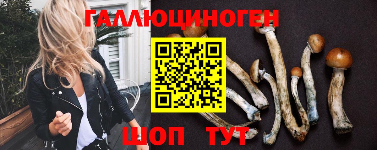 наркошоп  Псилоцибиновые грибы ЛСД  Вход с VPN  Топки  Псилоцибиновые грибы Psilocybe 